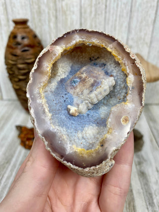 Fossil Ocean Creature Unique Cubic Structure from Curious Muse Crystals Tagged with fine mineral, florida, fossil, Fossil Coral, hide-notify-btn, orange, raw, red, Tampa Bay, USA, white