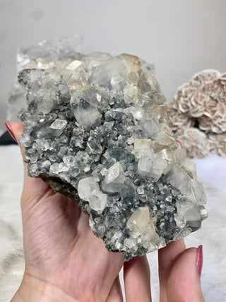 Apophyllite on Chalcedony with Tan Inclusions | India from Curious Muse Crystals Tagged with apophyllite, chalcedony, clear, hide-notify-btn, raw, raw mineral, zeolite