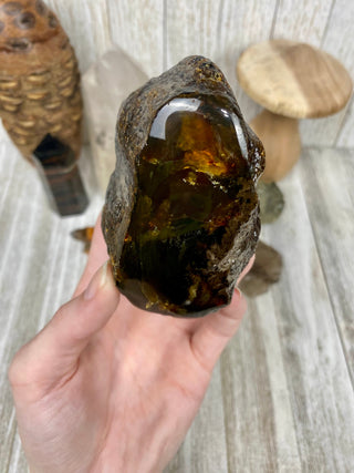 Lion's Mane Sumatran Amber | High Quality Collectors Grade Amber from Curious Muse Crystals Tagged with amber, brown, Crystal healing, fine mineral, fossil, fossilized amber, genuine crystal, hide-notify-btn, mineral specimen, real amber, sulfur, uv reactive