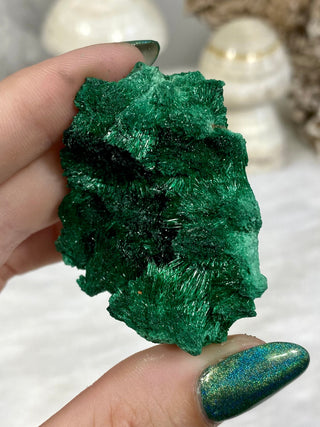 Velvet Malachite Cluster | Fibrous Green Copper Based Crystal from Curious Muse Crystals Tagged with Copper Stone, Crystal Healing, Dark Green Stone, Genuine Crystal, green, Hearth Chakra, hide-notify-btn, Malachite, Manifestation, Mineral Collection, Natural Mineral, Prosperity Wealth, Raw Mineral, Reiki Healing