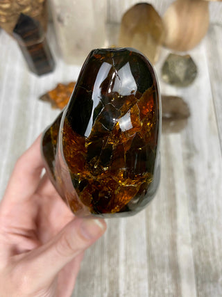 Lion's Mane Sumatran Amber | High Quality Collectors Grade Amber from Curious Muse Crystals Tagged with amber, brown, Crystal healing, fine mineral, fossil, fossilized amber, genuine crystal, hide-notify-btn, mineral specimen, real amber, sulfur, uv reactive