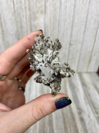 Calcite with Chalcopyrite | Cozamin Mine, Zacatecas, Mexico from Curious Muse Crystals Tagged with calcite, chalcopyrite, clear, fine mineral, gold, mexico, raw