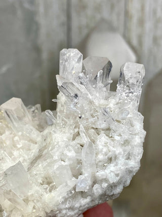 Danburite Raw Crystal Large Cluster | Caracas, Mexico from Curious Muse Crystals Tagged with clear, crown chakra, Crystal healing, danburite, hide-notify-btn, pink, raw, raw crystal