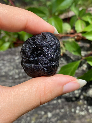 Colombianite 27g Pseudo-Tektite Raw Specimen from Curious Muse Crystals Tagged with black, colombia, colombianite, hide-notify-btn, moldavite, obsidian, reiki healing, space crystal, tektite