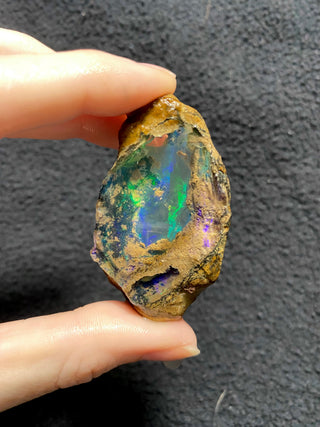 Raw Welo Opal from Ethiopia | Water Opal from Curious Muse Crystals Tagged with Ethiopian opal, flashy opal, hide-notify-btn, opal, rainbow, raw, Welo Opal