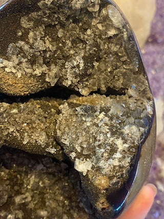 Septarian Nodule Egg with Calcite | Madagascar from Curious Muse Crystals Tagged with aragonite, black, brown, calcite, limestone, Septarian, uv reactive, yellow