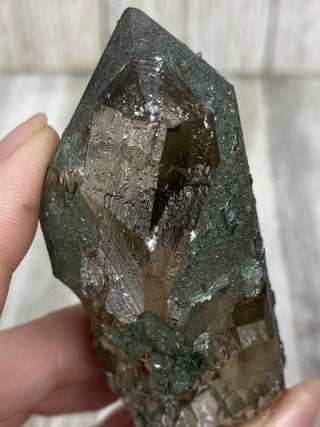 Nirvana Smoky Quartz with Green Chlorite Terminated Point | High-Altitude Himalayan Crystal from Curious Muse Crystals Tagged with chlorite inclusion, clear, green, green Quartz, hand mined crystal, hide-notify-btn, high altitude quartz, High vibration stone, Himalayan Quartz, manifesting Quartz, Nirvana Quartz