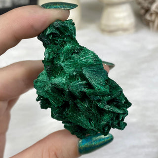 Velvet Malachite Cluster | Fibrous Green Copper Based Crystal from Curious Muse Crystals Tagged with Copper Stone, Crystal Healing, Dark Green Stone, Genuine Crystal, green, Hearth Chakra, hide-notify-btn, Malachite, Manifestation, Mineral Collection, Natural Mineral, Prosperity Wealth, Raw Mineral, Reiki Healing
