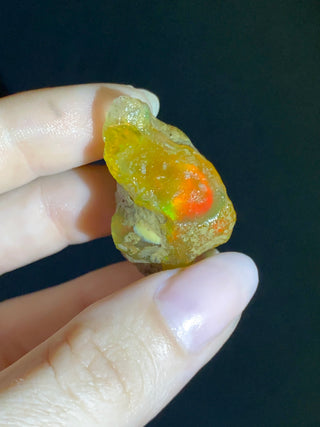 Raw Welo Opal from Ethiopia | Water Opal from Curious Muse Crystals Tagged with Ethiopian opal, flashy opal, hide-notify-btn, opal, rainbow, raw, Welo Opal