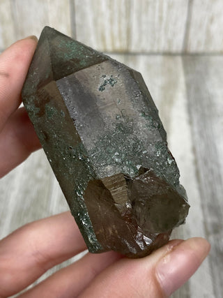 Nirvana Smoky Quartz with Green Chlorite Terminated Point | High-Altitude Himalayan Crystal from Curious Muse Crystals Tagged with chlorite inclusion, clear, green, green Quartz, hand mined crystal, hide-notify-btn, high altitude quartz, High vibration stone, Himalayan Quartz, manifesting Quartz, Nirvana Quartz