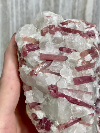 Pink Rubellite Tourmaline in Albite | Brazil from Curious Muse Crystals Tagged with Albite, brazil, hide-notify-btn, pink, raw, rubellite, tourmaline