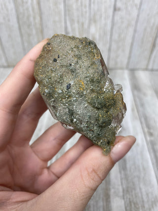 Nirvana Quartz with Green Chlorite Cluster | High-Altitude Himalayan Crystal from Curious Muse Crystals Tagged with chlorite inclusion, clear, green, green Quartz, hand mined crystal, hide-notify-btn, high altitude quartz, High vibration stone, Himalayan Quartz, manifesting Quartz, Nirvana Quartz