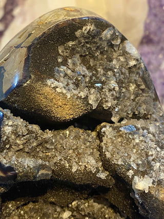 Septarian Nodule Egg with Calcite | Madagascar from Curious Muse Crystals Tagged with aragonite, black, brown, calcite, limestone, Septarian, uv reactive, yellow