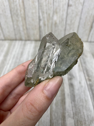 Nirvana Quartz with Green Chlorite Cluster | High-Altitude Himalayan Crystal from Curious Muse Crystals Tagged with chlorite inclusion, clear, green, green Quartz, hand mined crystal, hide-notify-btn, high altitude quartz, High vibration stone, Himalayan Quartz, manifesting Quartz, Nirvana Quartz