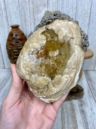 Fossil Clam with Calcite | Fort Drum, Florida from Curious Muse Crystals Tagged with calcite, clam, fine mineral, florida, fossil, hide-notify-btn, high grade, orange, raw, USA