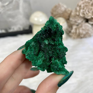Velvet Malachite Cluster | Fibrous Green Copper Based Crystal from Curious Muse Crystals Tagged with Copper Stone, Crystal Healing, Dark Green Stone, Genuine Crystal, green, Hearth Chakra, hide-notify-btn, Malachite, Manifestation, Mineral Collection, Natural Mineral, Prosperity Wealth, Raw Mineral, Reiki Healing