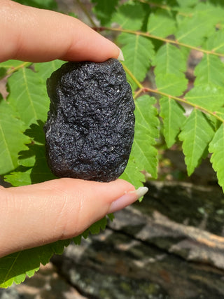 Colombianite 32g Pseudo-Tektite Raw Specimen from Curious Muse Crystals Tagged with black, colombia, colombianite, hide-notify-btn, moldavite, obsidian, reiki healing, space crystal, tektite