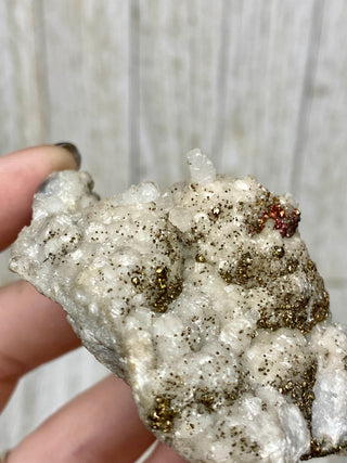 Calcite with Chalcopyrite | Cozamin Mine, Zacatecas, Mexico from Curious Muse Crystals Tagged with calcite, chalcopyrite, clear, fine mineral, gold, hide-notify-btn, mexico, raw