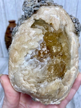 Fossil Clam with Calcite | Fort Drum, Florida from Curious Muse Crystals Tagged with calcite, clam, fine mineral, florida, fossil, hide-notify-btn, high grade, orange, raw, USA