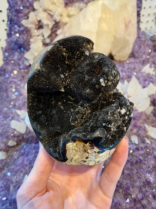 Septarian Cut Base Nodule | Madagascar from Curious Muse Crystals Tagged with aragonite, brown, calcite, limestone, Septarian, uv reactive, yellow