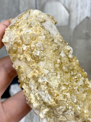 Danburite Pseudomorph with Calcites | Caracas, Mexico from Curious Muse Crystals Tagged with calcite, clear, crown chakra, Crystal healing, danburite, fine mineral, hide-notify-btn, pseudomorph, raw, raw crystal