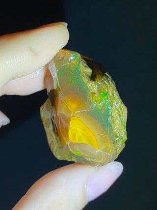 Raw Welo Opal from Ethiopia | Water Opal from Curious Muse Crystals Tagged with Ethiopian opal, flashy opal, hide-notify-btn, opal, rainbow, raw, Welo Opal