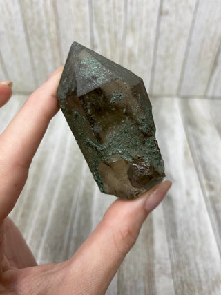 Nirvana Smoky Quartz with Green Chlorite Terminated Point | High-Altitude Himalayan Crystal from Curious Muse Crystals Tagged with chlorite inclusion, clear, green, green Quartz, hand mined crystal, hide-notify-btn, high altitude quartz, High vibration stone, Himalayan Quartz, manifesting Quartz, Nirvana Quartz