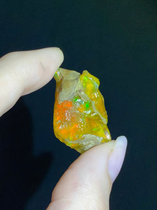 Raw Welo Opal from Ethiopia | Water Opal from Curious Muse Crystals Tagged with Ethiopian opal, flashy opal, hide-notify-btn, opal, rainbow, raw, Welo Opal