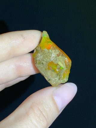 Raw Welo Opal from Ethiopia | Water Opal from Curious Muse Crystals Tagged with Ethiopian opal, flashy opal, hide-notify-btn, opal, rainbow, raw, Welo Opal