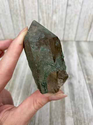Nirvana Smoky Quartz with Green Chlorite Terminated Point | High-Altitude Himalayan Crystal from Curious Muse Crystals Tagged with chlorite inclusion, clear, green, green Quartz, hand mined crystal, hide-notify-btn, high altitude quartz, High vibration stone, Himalayan Quartz, manifesting Quartz, Nirvana Quartz