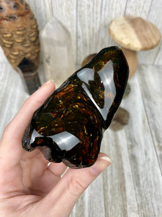 Lion's Mane Sumatran Amber | High Quality Collectors Grade Amber from Curious Muse Crystals Tagged with amber, brown, Crystal healing, fine mineral, fossil, fossilized amber, genuine crystal, hide-notify-btn, mineral specimen, real amber, sulfur, uv reactive