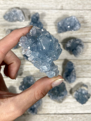 Celestite Raw Geode from Curious Muse Crystals Tagged with blue, celestite, crystal, genuine crystal, geode, raw, raw crystal