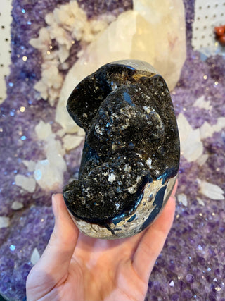Septarian Cut Base Nodule | Madagascar from Curious Muse Crystals Tagged with aragonite, brown, calcite, limestone, Septarian, uv reactive, yellow