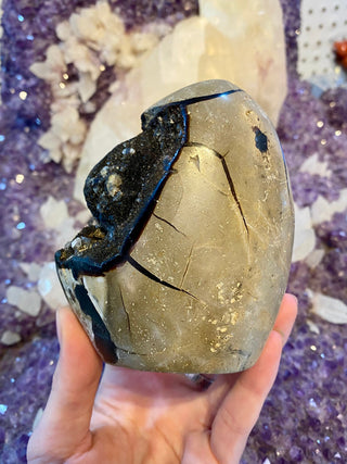 Septarian Cut Base Nodule | Madagascar from Curious Muse Crystals Tagged with aragonite, brown, calcite, limestone, Septarian, uv reactive, yellow