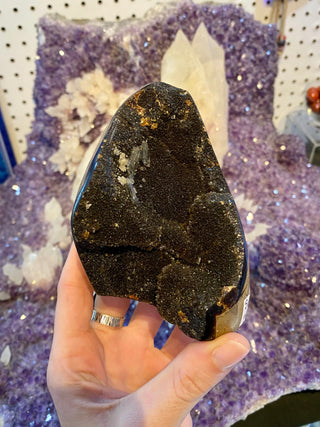 Septarian Cut Base Nodule with Clear Calcite | Madagascar from Curious Muse Crystals Tagged with aragonite, brown, calcite, limestone, Septarian, uv reactive, yellow
