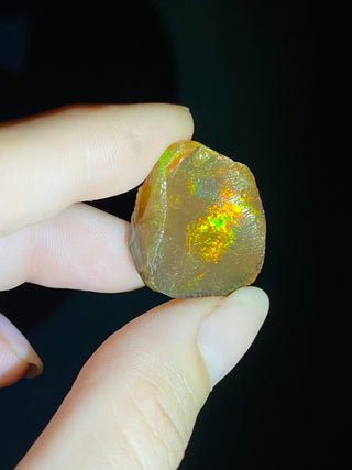 Raw Welo Opal from Ethiopia | Water Opal from Curious Muse Crystals Tagged with Ethiopian opal, flashy opal, hide-notify-btn, opal, rainbow, raw, Welo Opal