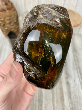 Lion's Mane Sumatran Amber | High Quality Collectors Grade Amber from Curious Muse Crystals Tagged with amber, brown, Crystal healing, fine mineral, fossil, fossilized amber, genuine crystal, hide-notify-btn, mineral specimen, real amber, sulfur, uv reactive