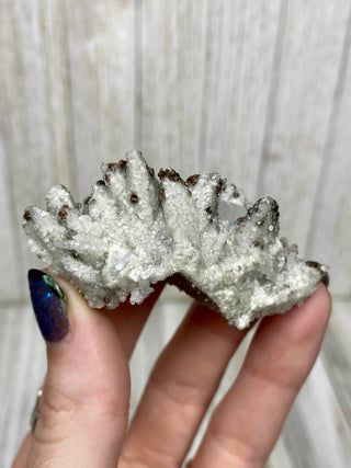 Calcite with Chalcopyrite | Cozamin Mine, Zacatecas, Mexico from Curious Muse Crystals Tagged with calcite, chalcopyrite, clear, fine mineral, gold, mexico, raw