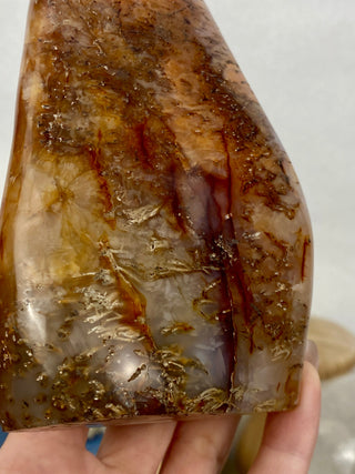 Carnelian Agate Freeform | Red Agate from Madagascar from Curious Muse Crystals Tagged with agate, carnelian, freeform, hide-notify-btn, love, madagascar, red, strength, willpower