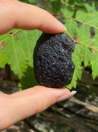 Colombianite 32g Pseudo-Tektite Raw Specimen from Curious Muse Crystals Tagged with black, colombia, colombianite, hide-notify-btn, moldavite, obsidian, reiki healing, space crystal, tektite