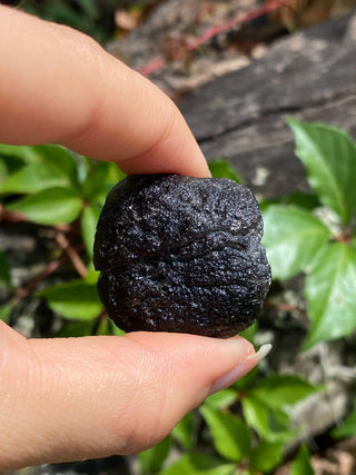 Colombianite 27g Pseudo-Tektite Raw Specimen from Curious Muse Crystals Tagged with black, colombia, colombianite, hide-notify-btn, moldavite, obsidian, reiki healing, space crystal, tektite