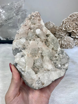 Apophyllite on Chalcedony with Pink Inclusions | India from Curious Muse Crystals Tagged with apophyllite, chalcedony, clear, hide-notify-btn, pink, raw, zeolite