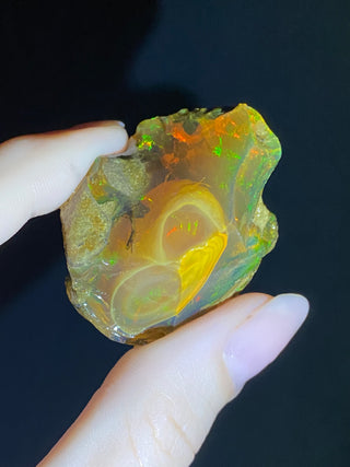 Raw Welo Opal from Ethiopia | Water Opal from Curious Muse Crystals Tagged with Ethiopian opal, flashy opal, hide-notify-btn, opal, rainbow, raw, Welo Opal