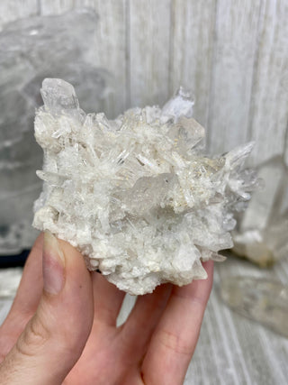 Danburite Raw Crystal Large Cluster | Caracas, Mexico from Curious Muse Crystals Tagged with clear, crown chakra, Crystal healing, danburite, hide-notify-btn, pink, raw, raw crystal