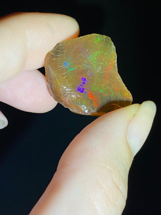 Raw Welo Opal from Ethiopia | Water Opal from Curious Muse Crystals Tagged with Ethiopian opal, flashy opal, hide-notify-btn, opal, rainbow, raw, Welo Opal