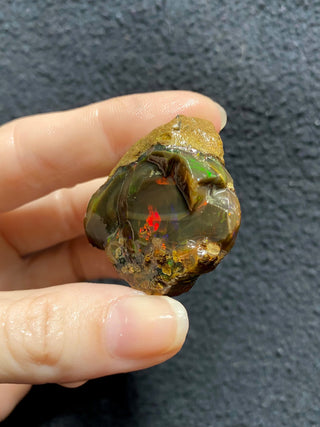 Raw Welo Opal from Ethiopia | Water Opal from Curious Muse Crystals Tagged with Ethiopian opal, flashy opal, hide-notify-btn, opal, rainbow, raw, Welo Opal