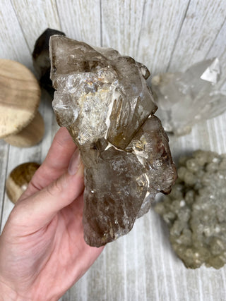 Elestial Smoky Quartz | Minas Gerais, Brazil from Curious Muse Crystals Tagged with Brazilian Quartz, brown, clear, elestial, Elestial Quartz, hide-notify-btn, self healed