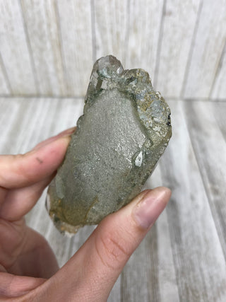 Nirvana Quartz with Green Chlorite Double Terminated Point | High-Altitude Himalayan Crystal from Curious Muse Crystals Tagged with chlorite inclusion, clear, green, green Quartz, hand mined crystal, hide-notify-btn, high altitude quartz, High vibration stone, Himalayan Quartz, manifesting Quartz, Nirvana Quartz