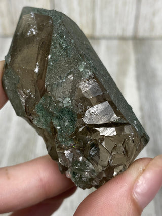Nirvana Smoky Quartz with Green Chlorite Terminated Point | High-Altitude Himalayan Crystal from Curious Muse Crystals Tagged with chlorite inclusion, clear, green, green Quartz, hand mined crystal, hide-notify-btn, high altitude quartz, High vibration stone, Himalayan Quartz, manifesting Quartz, Nirvana Quartz