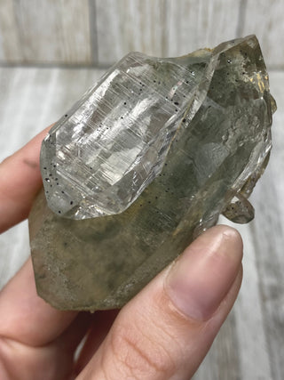 Nirvana Quartz with Green Chlorite Cluster | High-Altitude Himalayan Crystal from Curious Muse Crystals Tagged with chlorite inclusion, clear, green, green Quartz, hand mined crystal, hide-notify-btn, high altitude quartz, High vibration stone, Himalayan Quartz, manifesting Quartz, Nirvana Quartz